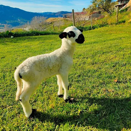 Xisqueta * Campo (Huesca)